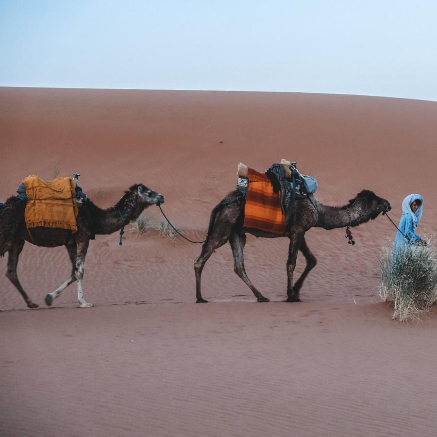 Camel Luxury Camp Bed & Breakfast Merzouga Bagian luar foto